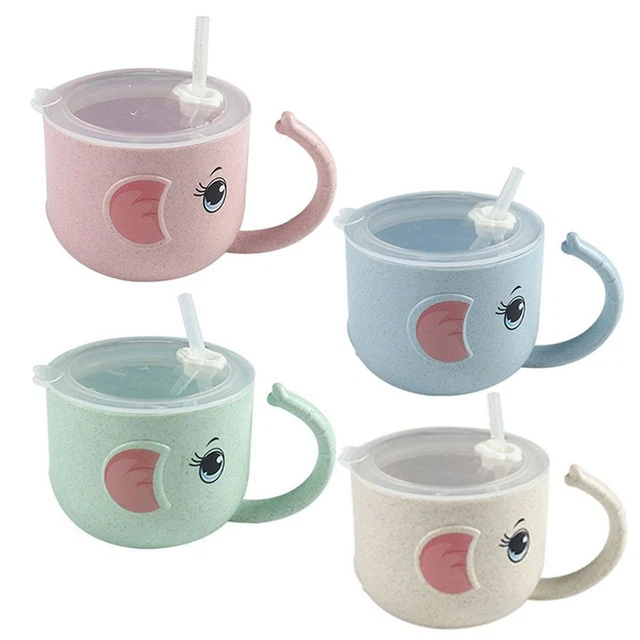 2 PCS cute drop-proof with lid Water Glass straw cup Leak-proof Bottle