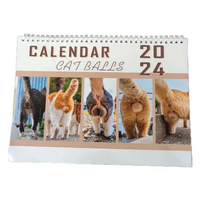 JAN TO DEC 2024 Calendar 2024 Cat Butt Calendar Planner for Office Wall
