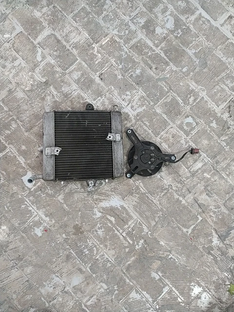 Forza 250 2008-2012 Radiatore+ Ventola