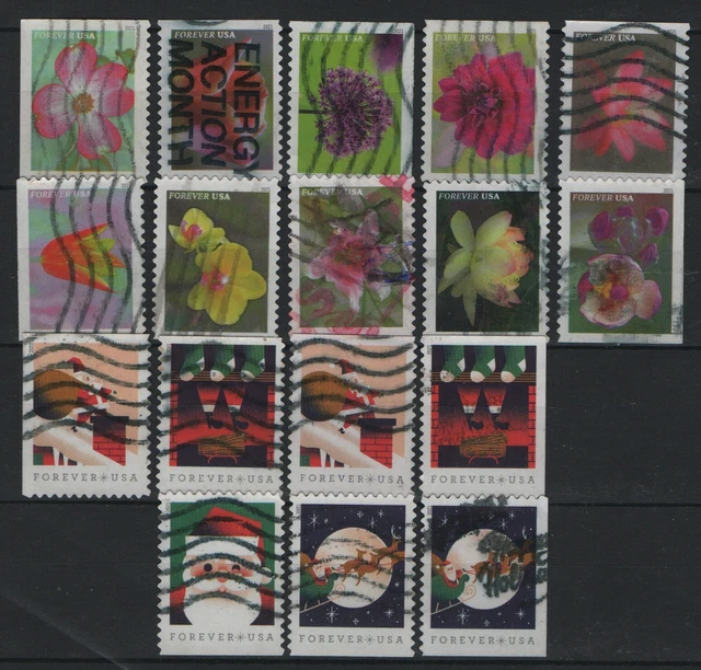 USA Used Luxury 2021 Flowers Christmas USA Used Luxury 2021 Flowers Christmas