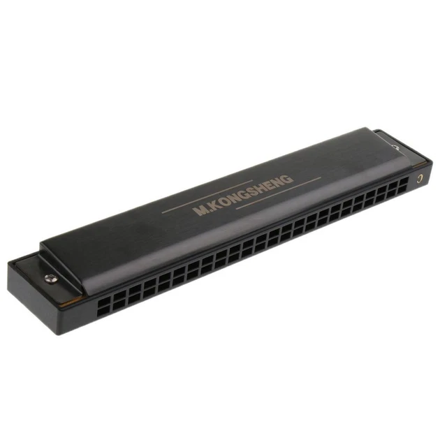 Orgue à Bouche Professionnel 24 Trous Tremolo Harmonica Pour étudiant Noir Mat
