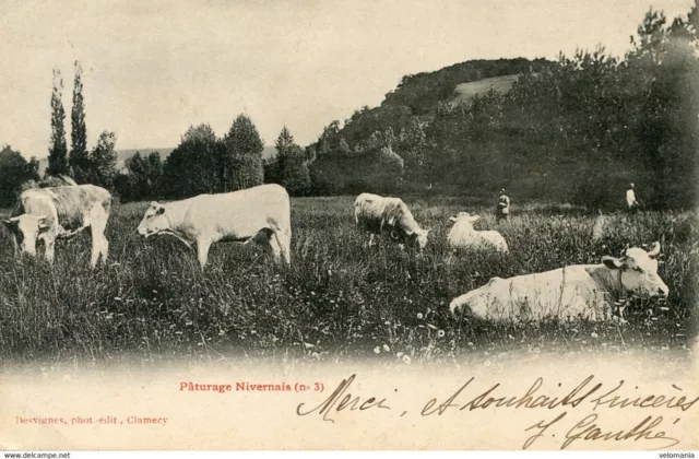 10404 cpa 58 Pâturage Nivernais