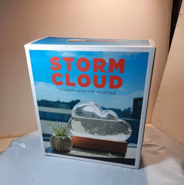 STORM CLOUD A Weather Predicting Instrument (Weather Predictor, Fun