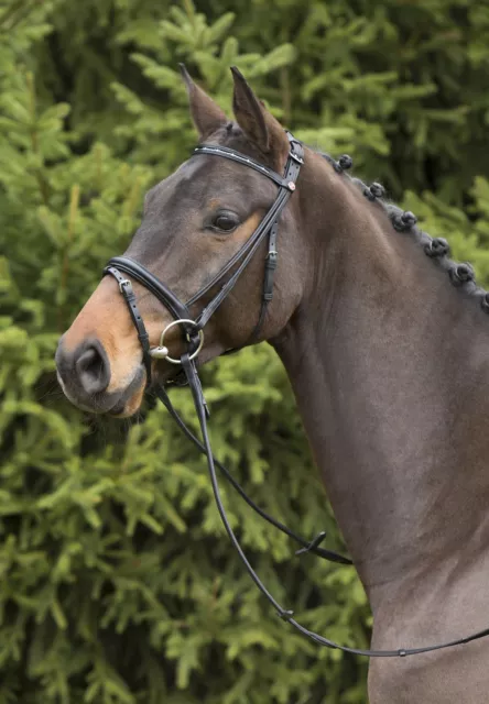 Kieffer Trense " ANJA ", engl. Reithalfter, rundgenäht