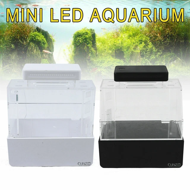 Mini LED Fish Tank Bottom Filter Rearing Aquarium Creative Ecology Micro Tank US