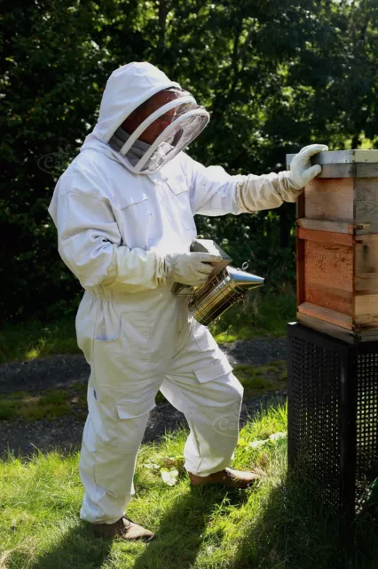 Combinaison apiculteur voile apiculture protection sécurité qualité supérieure Easibee 2