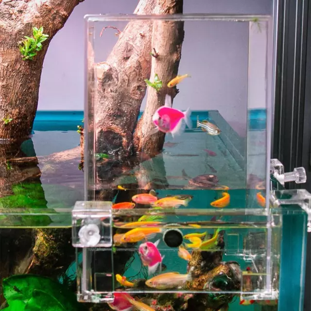 Small Aquarium Home Decor Fish Tank Betta Aquariums new Decor Office For D0S3 5