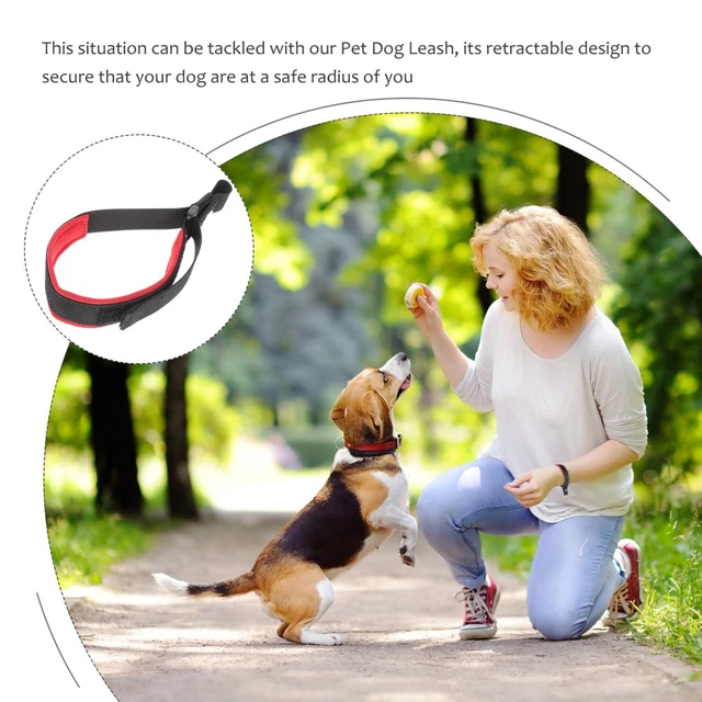 Thumbnail for Matic Retractable Leash For Small Dogs