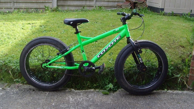 Coyote shop fatboy bike