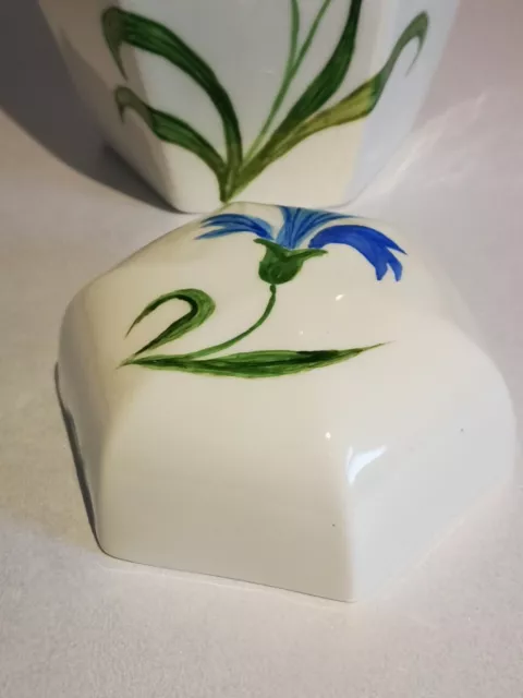 Artisan Ceramic Ginger Jar in White porcelain. Hand-painted. Pat Crawley(artist) 2