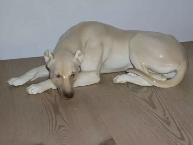 Large Rare Antique Great Dane Dog Nymphenburg Model Hand Painted 1920