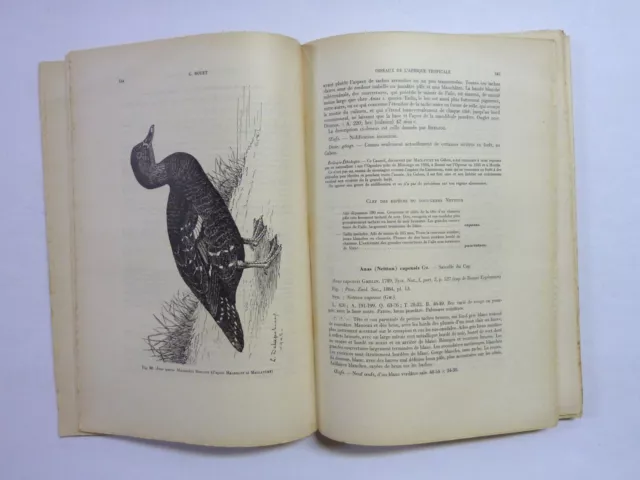 ORNITHOLOGIE Dc BOUET OISEAUX DE L'AFRIQUE TROPICALE 1955 ZOOLOGIE FAUNE 2