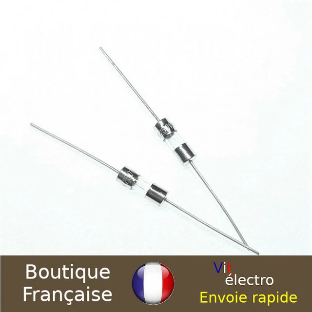 x2 Fusibles verre 1A 3x10mm cartouche Action rapide broché 250V F058Z