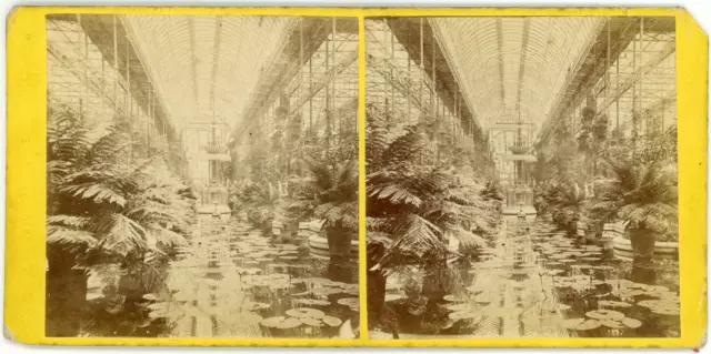 Stereo England, Londres, London, Crystal Palace, the fountain, circa 1870 Vintag