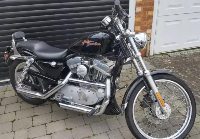 2002 sportster 883 custom deals