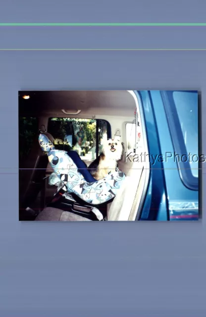 Isofix pampero online comfitrip car seat