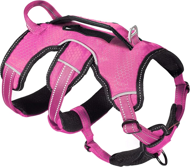 Updated for 2022 - Tracker No Escape Dog Harness | Dual Escape Proof Leash Attac