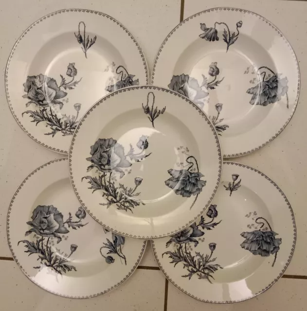 Sarreguemines U&C Modele Feria Lot De 5 Assiettes Creuses Faience