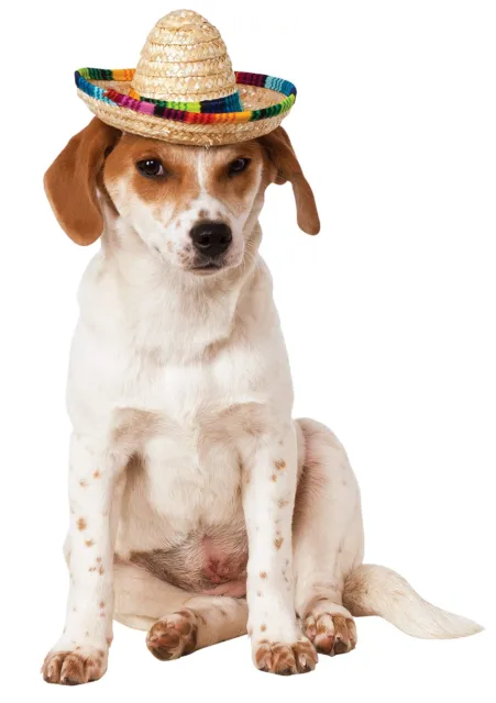 Rubie's Official Sombrero Pet Dog Costume Medium/Large