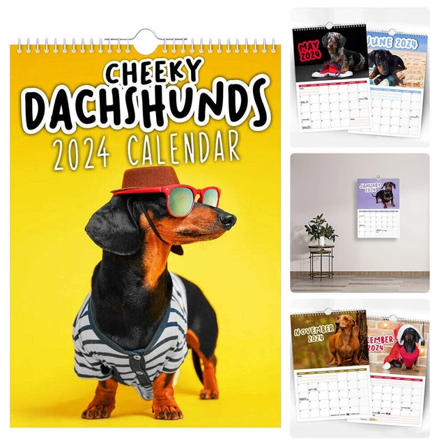 2024 Cheeky Dachshunds Funny Cute Dogs Wall Calendar Home Office Decor Gifts