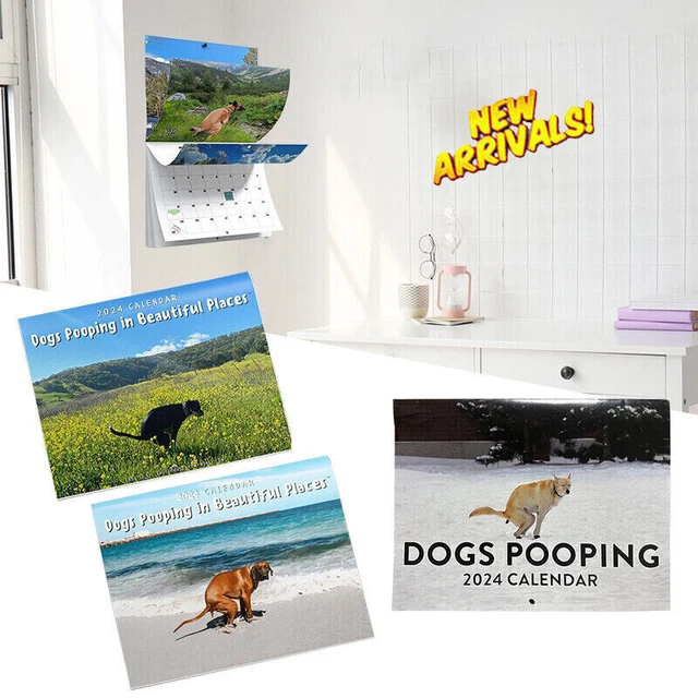 Calendario 2023 "Cani Che Cagano" - Regalo Divertente Con Festività Italiane, Per Adulti E Amanti Degli Animali - Foto 4