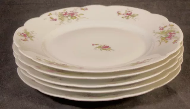 5 Antique Moritz Zdekauer MZ AUSTRIA Purple Floral Porcelain 9 7/8" Dinner Plate