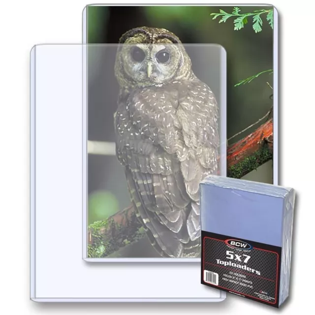 (10) BCW 5x7" TOPLOADERS - TRADING CARD BOX TOPPER, PHOTO, POSTCARD RIGID HOLDER