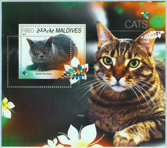 A0972 - MALDIVES, ERROR, MISPERF, Souvenir sheet: 2014, Cats, British Shorthairs