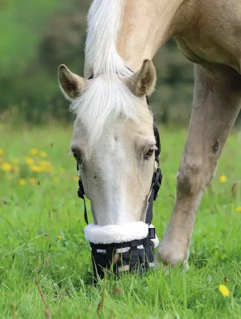 Shires Deluxe Comfort Grazing Muzzle