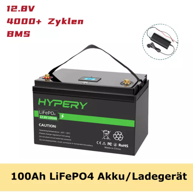 12V LiFePO4 100Ah Batería/Cargador de litio BMS Batería para Solar RV Autocaravana Nuevo