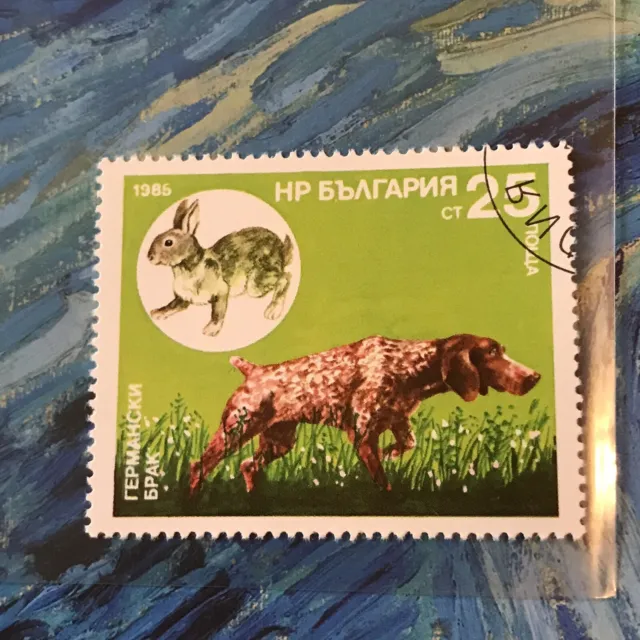 German Pointer Rabbit Dog Stamp Dogs Collectible Dog24