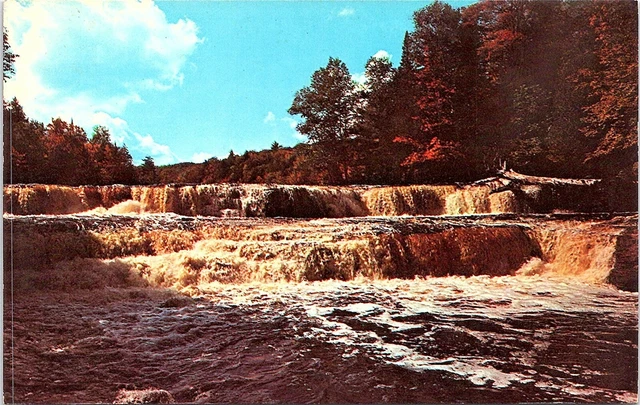Postcard~Lower Tahquamenon Falls~"Root Beer" Falls~Michigan~Vintage~A61
