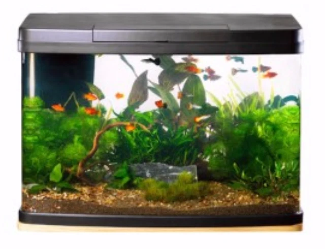 Love Fish - Panorama Fish Tank - 64 Litre Brand New - Boxed - (RRP: £170.00)