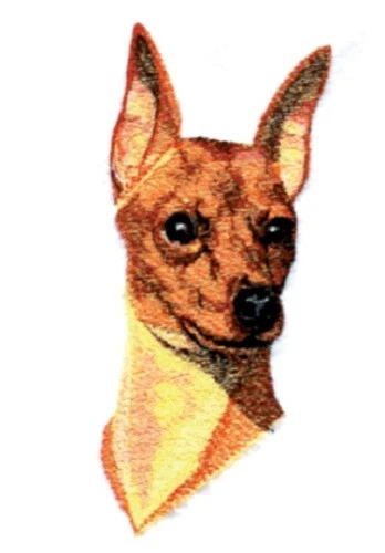 Embroidered Long-Sleeved T-Shirt - Miniature Pinscher BT3992 Sizes S - XXL