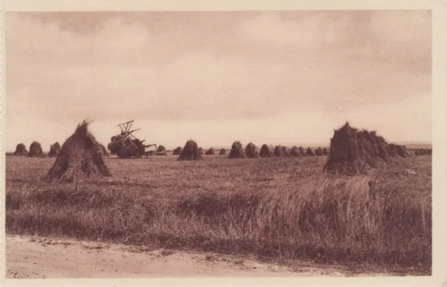 Carte postale ancienne ORNE ARGENTAN dans la plaine moissons