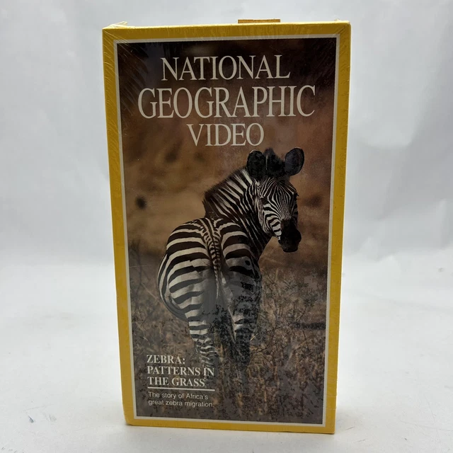 NATIONAL GEOGRAPHIC: ZEBRA Patterns in Grass $24 96 PicClick CA