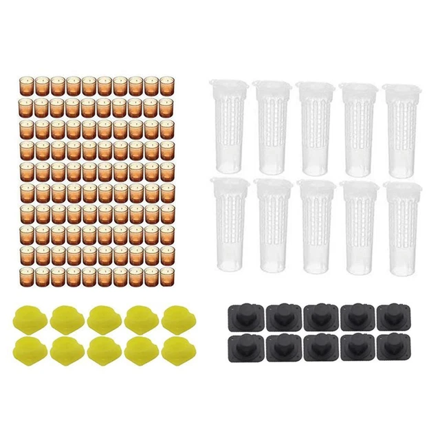 Complete Bee Queen Rearing Cup Kit System Beekeeping Box Tools NEW Set F8F9