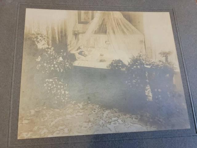 1800S Antique Victorian Post Mortem Funeral Casket Photo Woman Girl Signed Rare