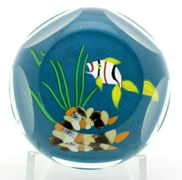 Beautiful PERTHSHIRE Vibrant TROPICAL FISH Art Glass PAPERWEIGHT Small Run LE 2