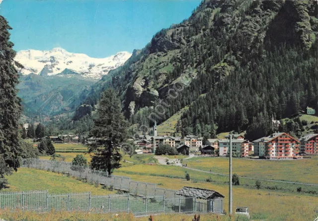 Cartolina Gressoney St. Jean Panorama e Monte Rosa (Aosta)