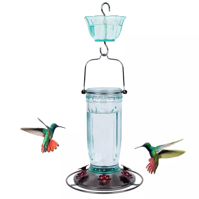 Kingsyard Hanging Hummingbird Bird Feeder Ant Moat Glass Nectar Feeder Wide Mout