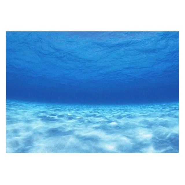 Aquarium Décoratif Photos Toile de Fond Sous-marine Image Décor 122x46cm