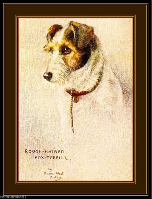 96631 English Picture Rough-Haired Fox Terrier Dog Wall Print Poster UK