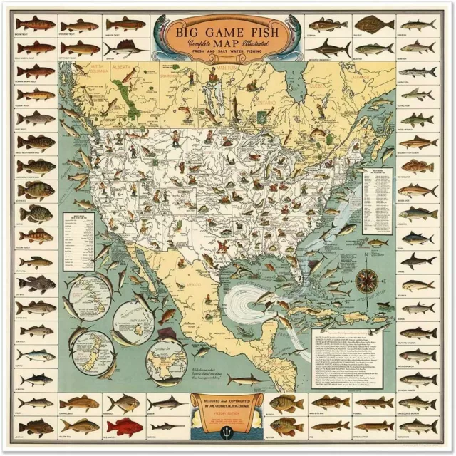 Pictoral Fishing Map of the USA's Big Game Fish circa 1936 24 inches x 24 inches