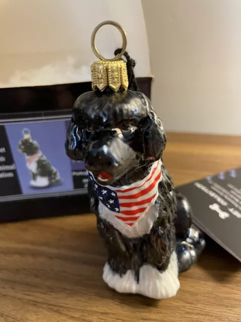 Portuguese Water Dog Blown Glass Polish Christmas Ornament Decoration US Flag