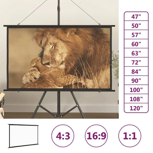 Beamer Leinwand Projektionsleinwand Rolloleinwand mehrere Auswahl vidaXL
