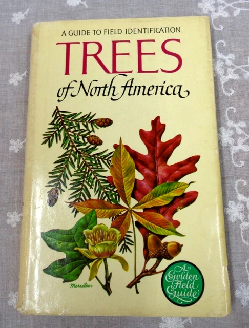 A GUIDE TO Field Identification ~ TREES of NORTH AMERICA ~ Golden Press ...