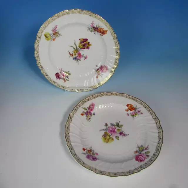 KPM Berlin Porcelain - Flower Decorated - 2 Dinner Plates - 9½ inches