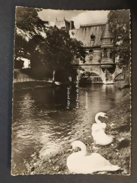 CHALONS SUR MARNE SAVINGS BANK GARDEN VIEW swans postcard