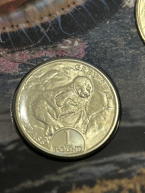 Iom Grey Seal £1 Coin Uncirculated 2023 Wildlife Trust